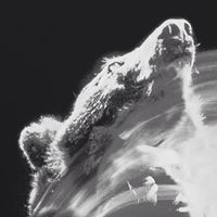 The Temperance Movement