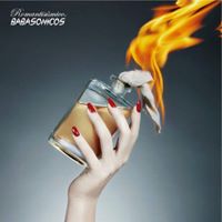 Babasonicos!