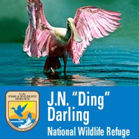 J.N. &quot;Ding&quot; Darling National Wildlife Refuge (Official)
