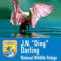 J.N. "Ding" Darling National Wildlife Refuge (Official)