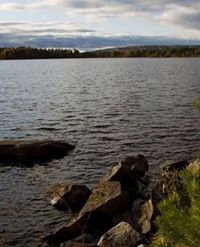 Vad Händer I Falun?