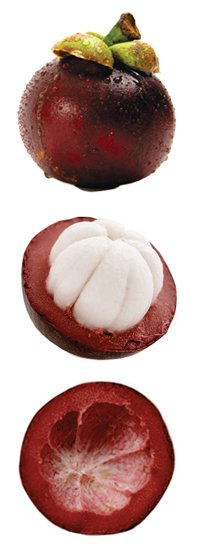 Mangosteen