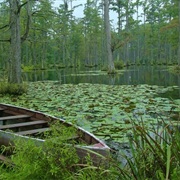 Cypress Gardens