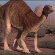 Camptosaurus