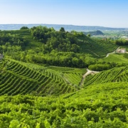 La Strada Del Prosecco