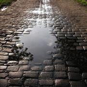 Puddles (From Precipitation)