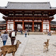 Nara