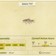 Nibblefish