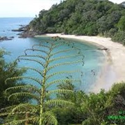 Tutukaka Head, Northland