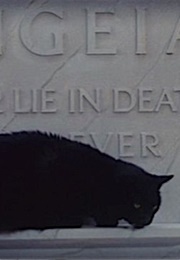 Black Cat, the Tomb of Ligeia (1965)