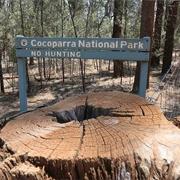 Cocoparra National Park (NSW)