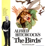 The Birds