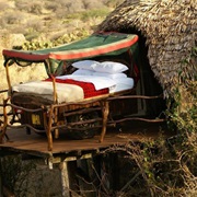 Koija Starbed, Kenya