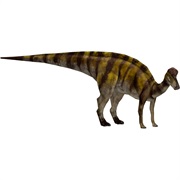 Corythosaurus