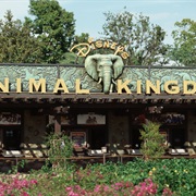 Walt Disney World - Disney's Animal Kingdom
