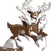 Winter Form Sawsbuck