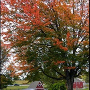 Erlands Point-Kitsap Lake, Washington