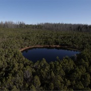 Bohemian Forest, Czech Republic, Germany and Austria