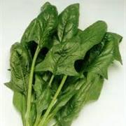 Arrowhead Spinach