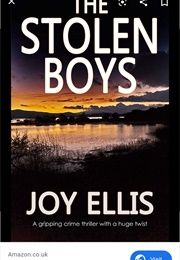 The Stolen Boys (Joy Ellis)
