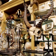 The Evolution Store (New York City, NY)