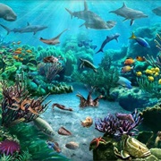 Coral Reefs - Disney Animals