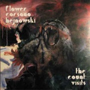 Flower, Corsano & Hejnowski - The Count Visits