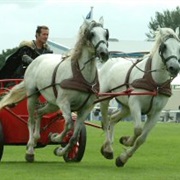 Roman Chariot