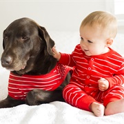 Stay in Pajamas All Day