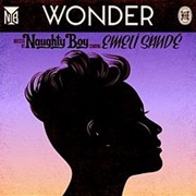 Wonder - Naughty Boy Feat. Emeli Sandé