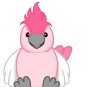 Pink Cockatoo