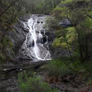 Greater Beedelup National Park (WA)