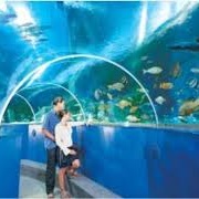 Blue Reef Aquarium Portsmouth