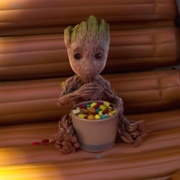 Groot
