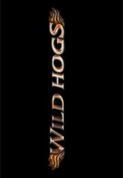 Wild Hogs. (2007)