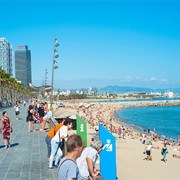 Barceloneta, Barcelona