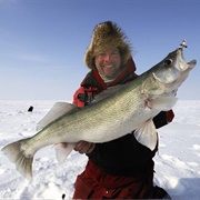 Muskoka Icefishing
