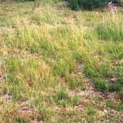 Mount Binga National Park (QLD)