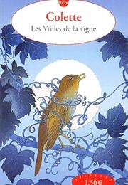 Les Vrilles De La Vigne