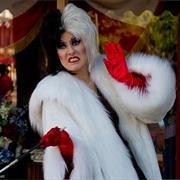 Dalmatian Celebration (1996-1997)