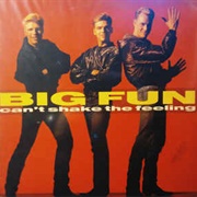 Can't Shake the Feeling - Big Fun