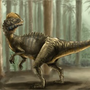 Dilophosaurus