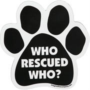 Rescue a Pet