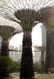 Singapore: Biophilic City (2012)