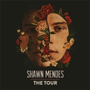Shawn Mendes: The Tour 2019