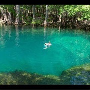 Blue Springs State Park - Florida