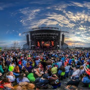 Go to a Music Festival