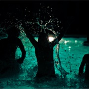 Go Swimming at Night