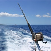 Deep Sea Fishing