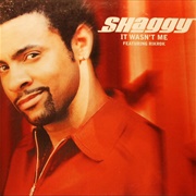 It Wasn't Me - Shaggy Ft. Ricardo 'Rikrok' Ducent